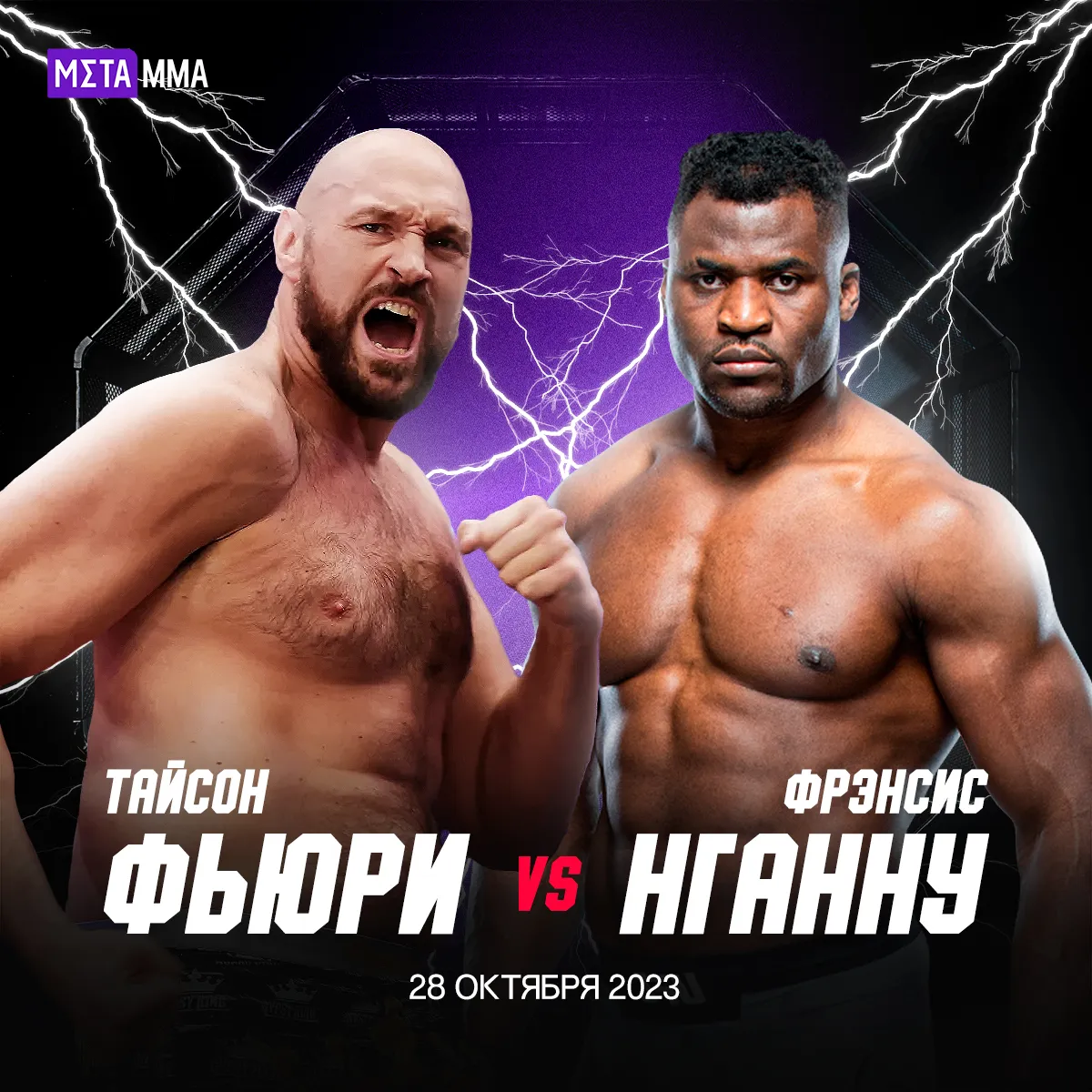 Тайсон Фьюри проведет бой с экс-чемпионом UFC Фрэнсисом Нганну