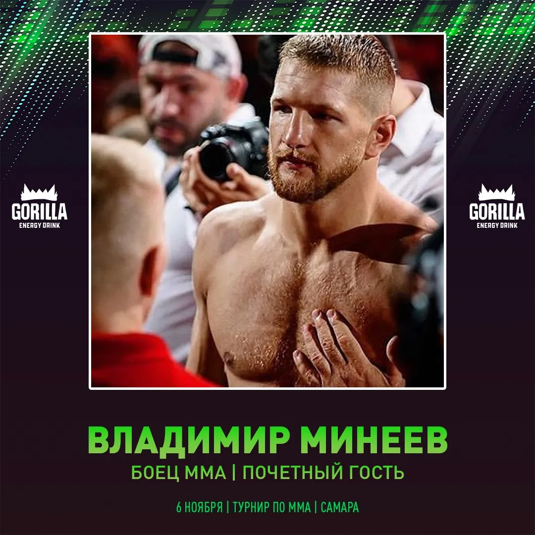 Владимир Минеев