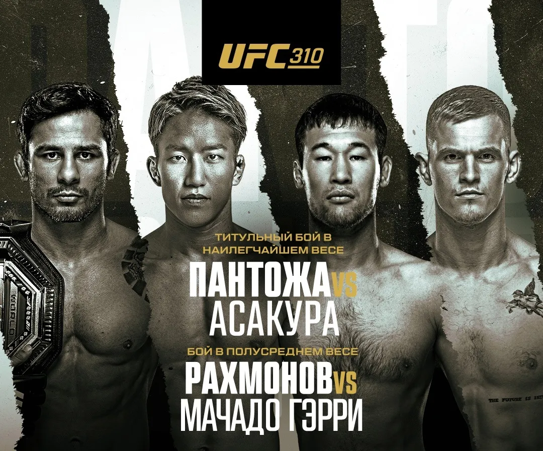 UFC 310