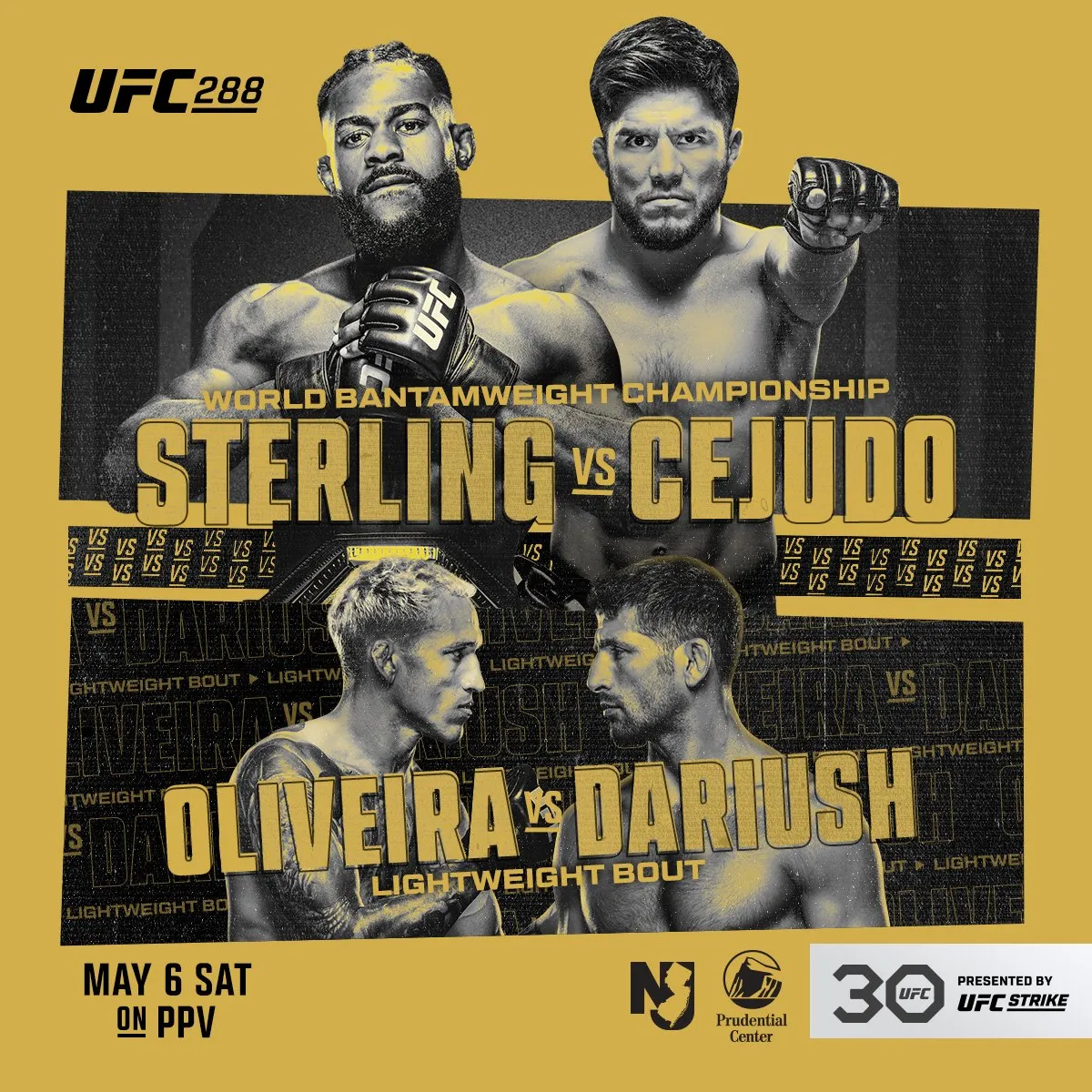 UFC 288