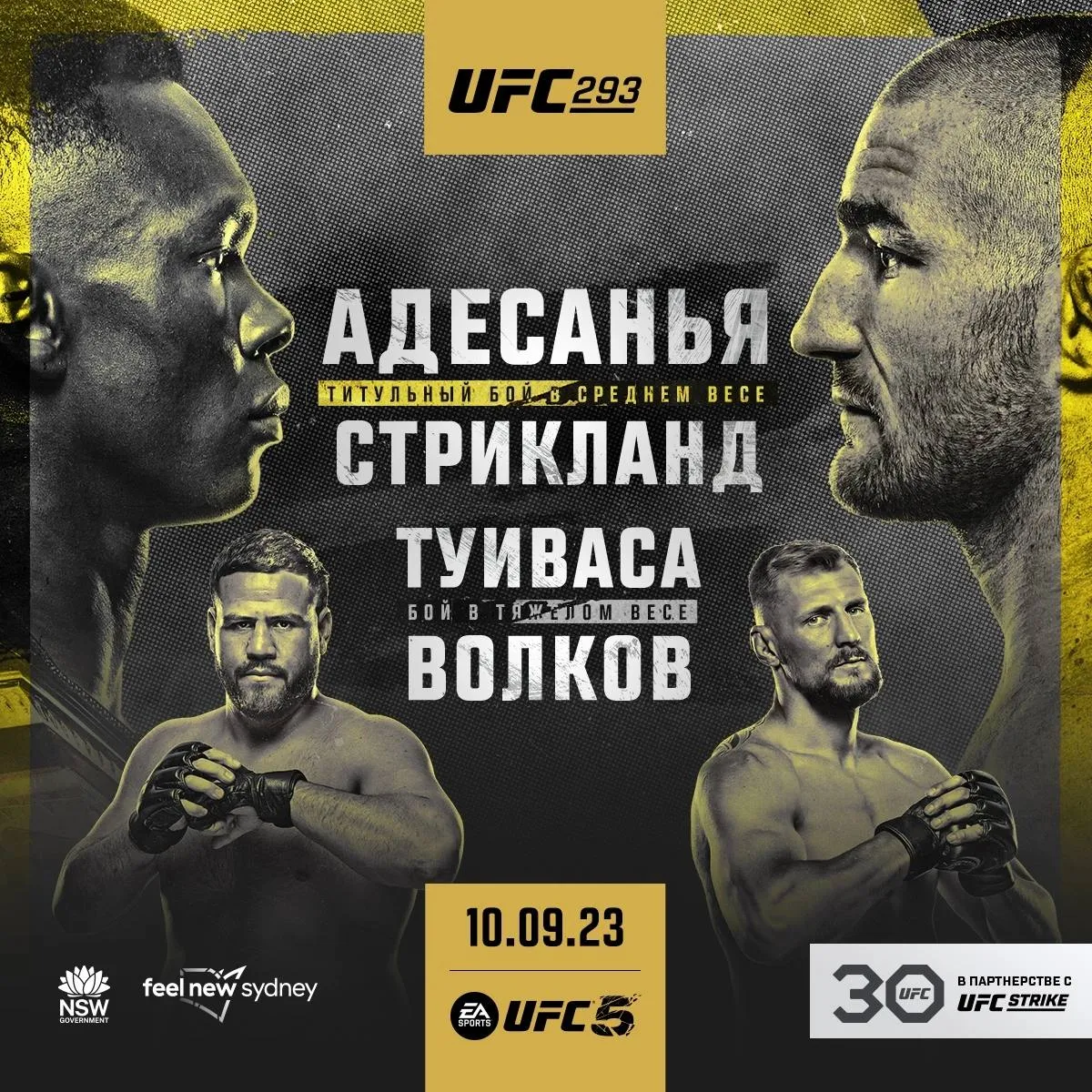 UFC 293