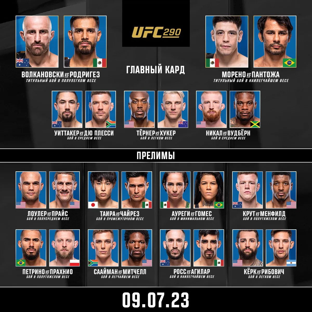 UFC 290