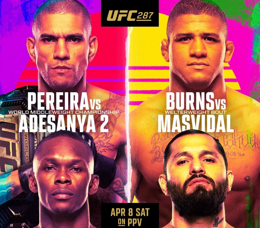 UFC 287