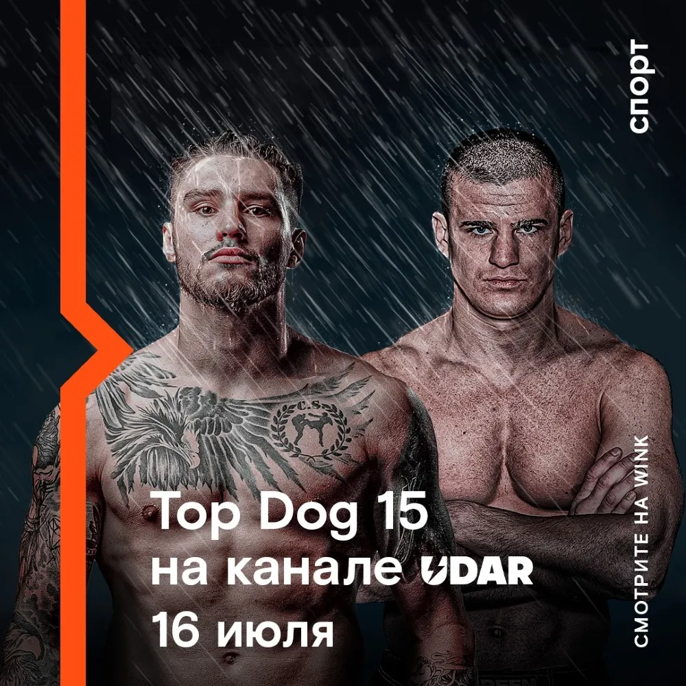 UDAR 