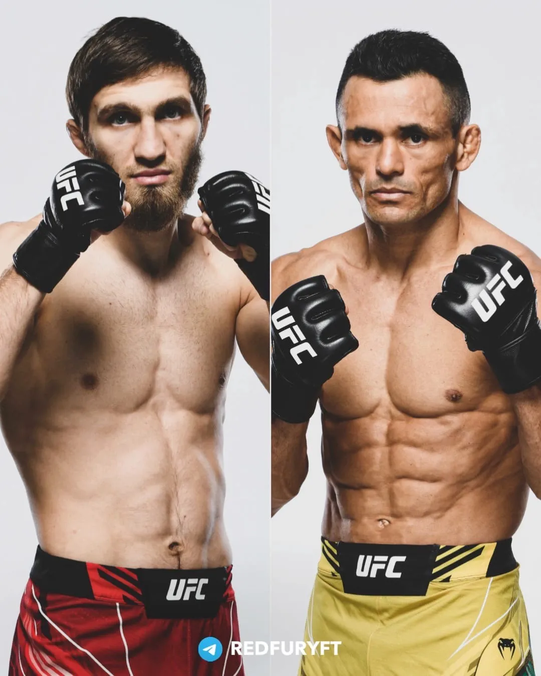 Коллаж UFC