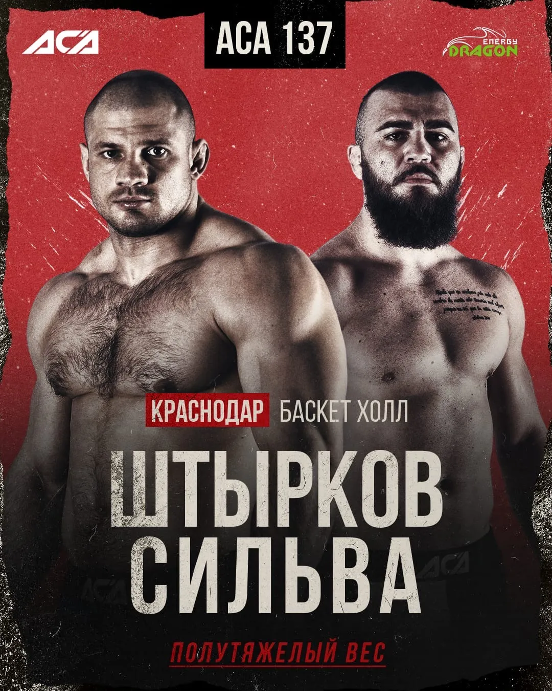 Штырков — Сильва