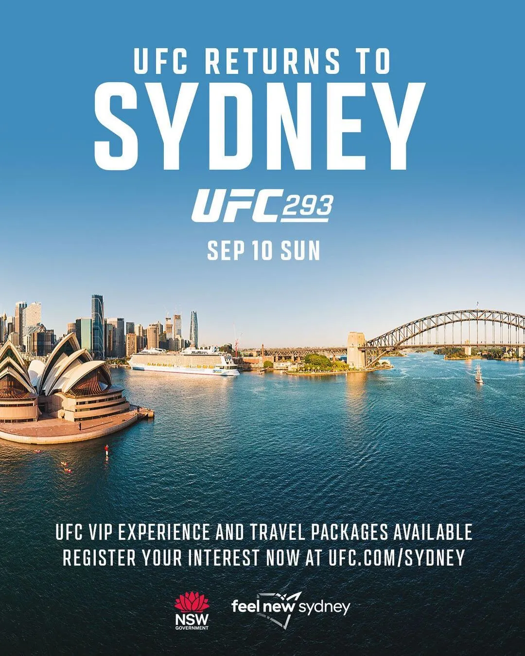 UFC 293