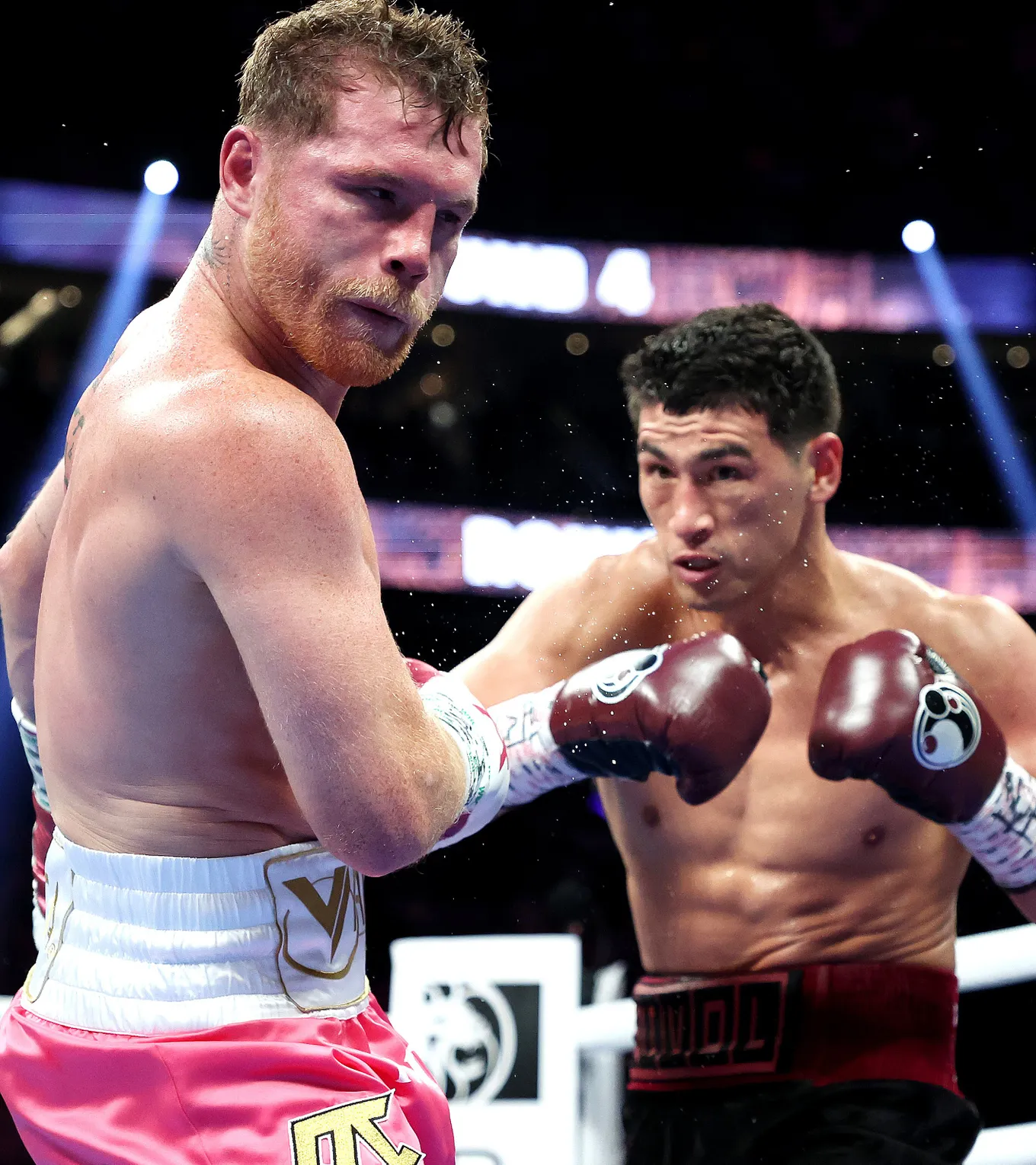 Альварес – Бивол