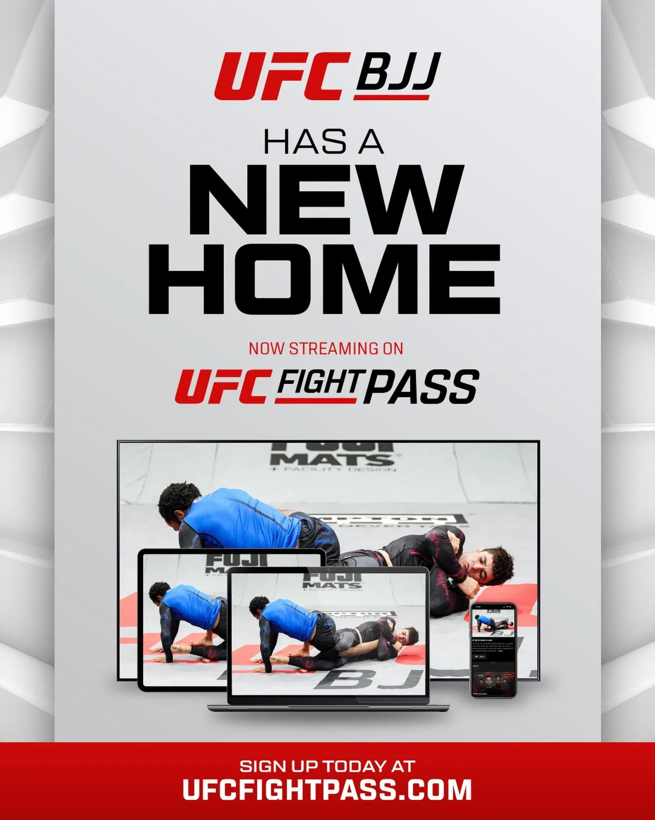 Где смотреть UFC BJJ