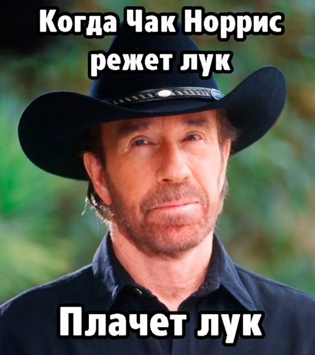 Пример мема с Чаком Норрисом