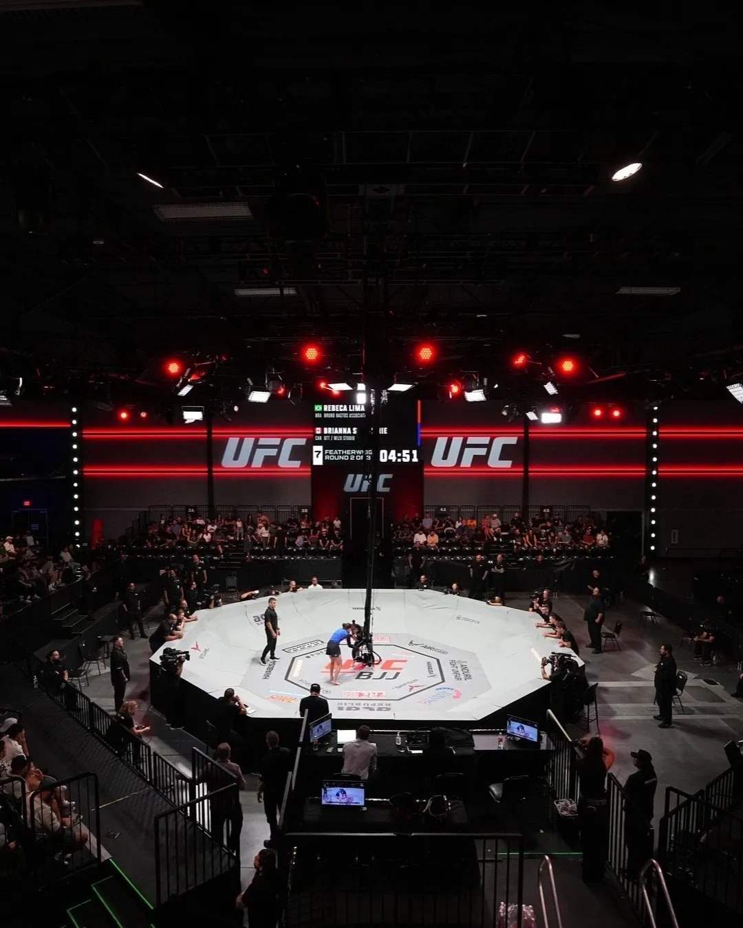 UFC BJJ