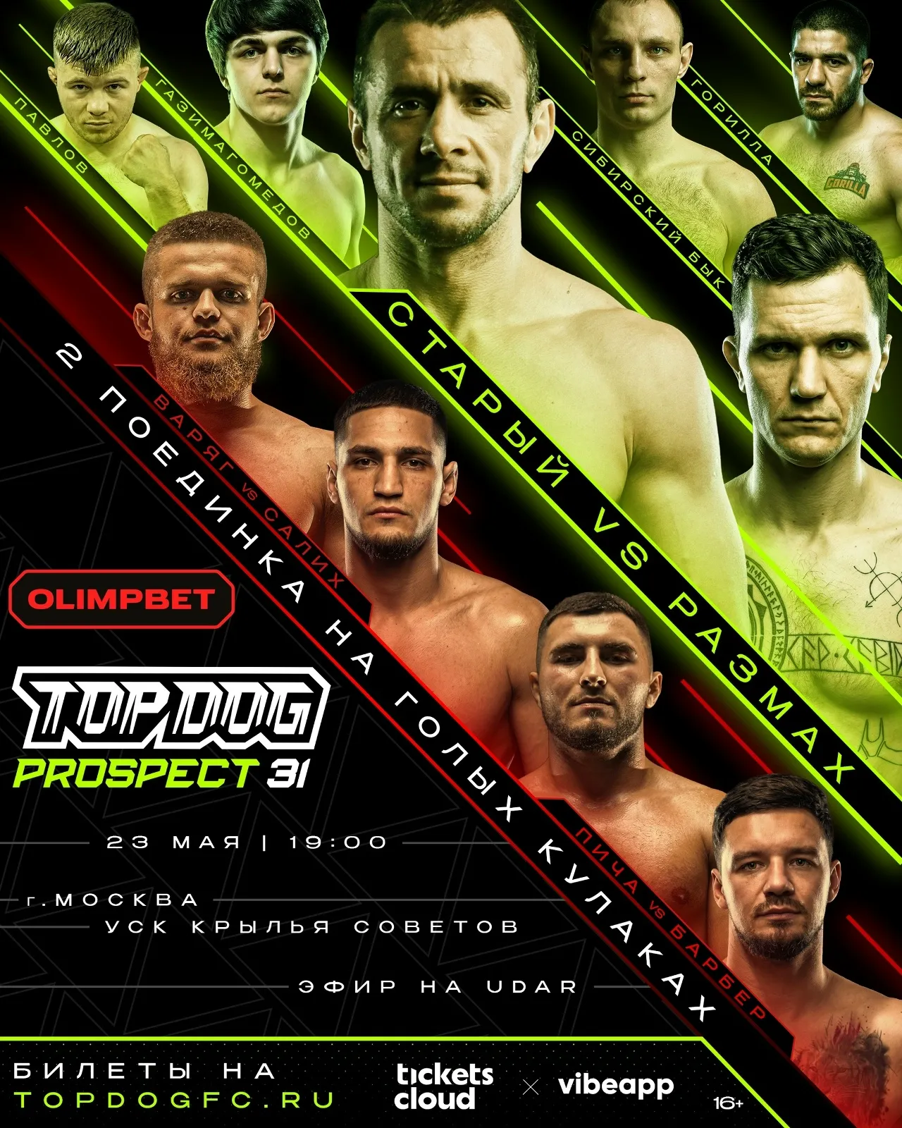 Top Dog Prospect 31