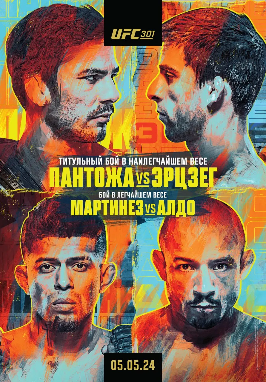 UFC 301