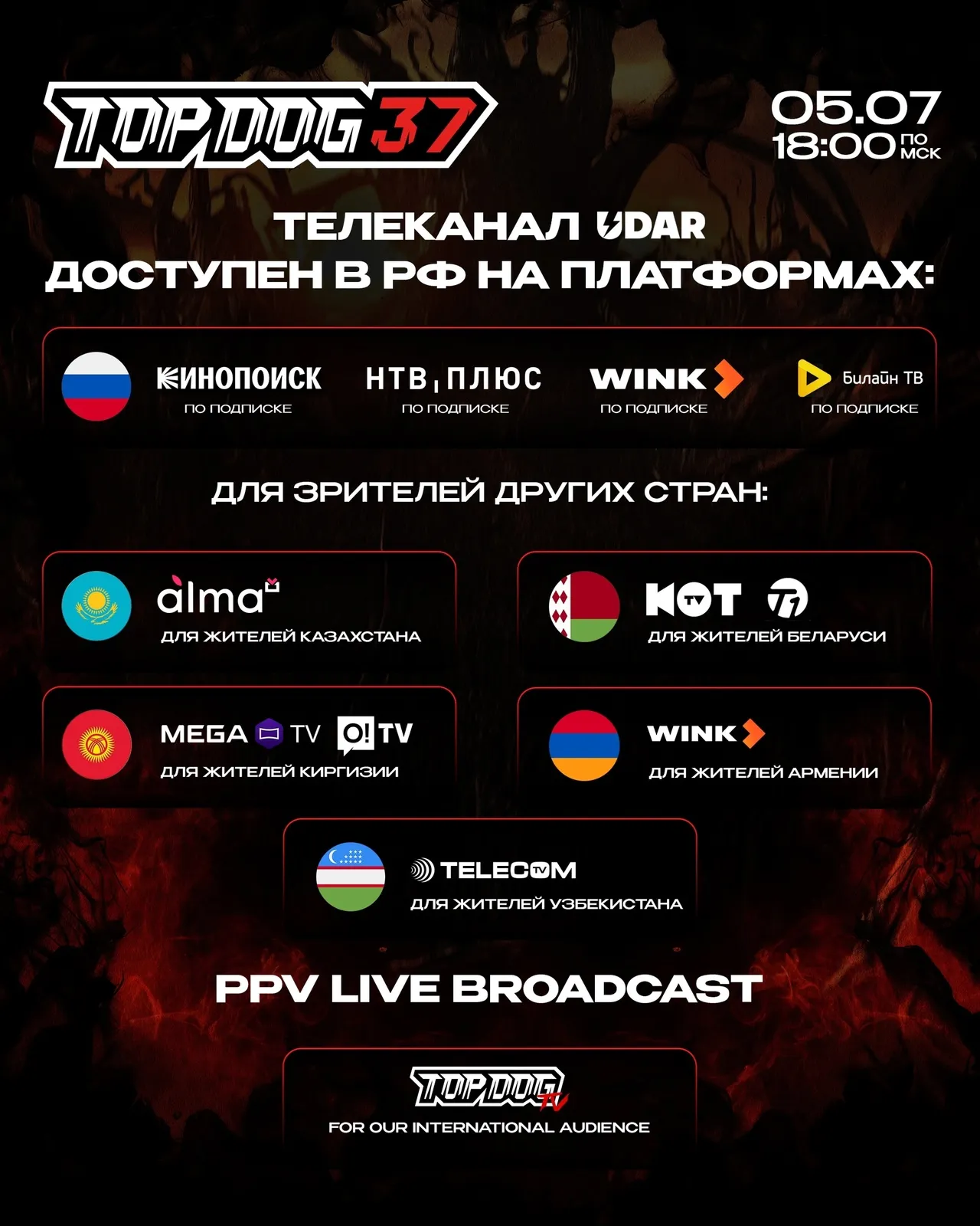 Где смотреть Top Dog 37: Регбист – Алекс Террибл