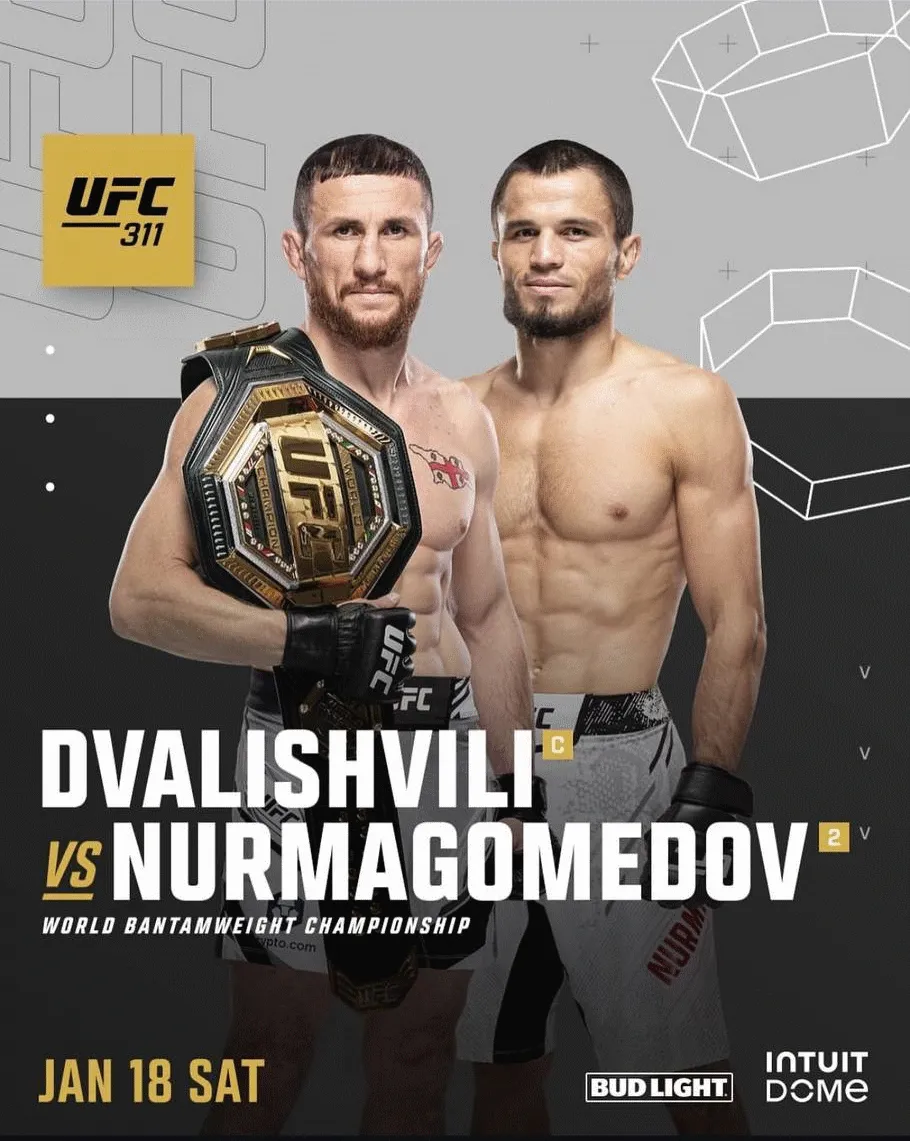 UFC 311