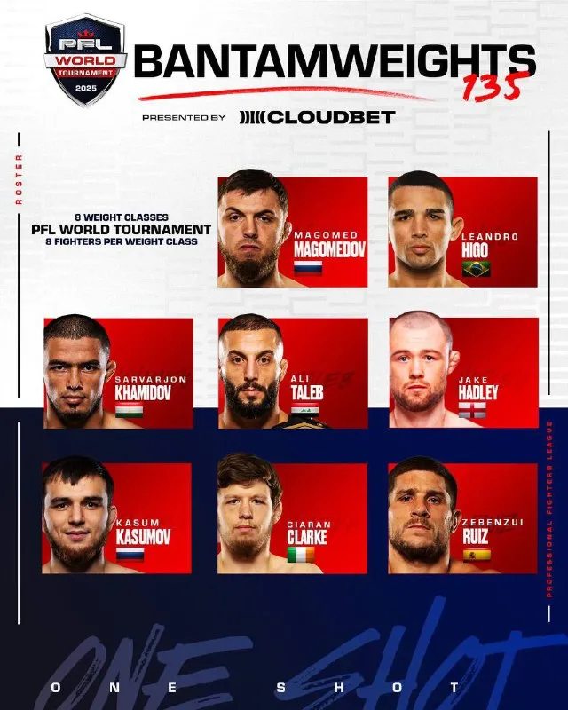 Professional Fighters League
