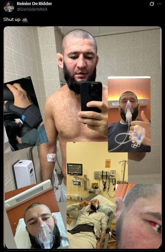 Коллаж де Риддера