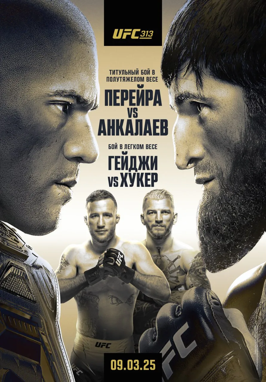 UFC 313