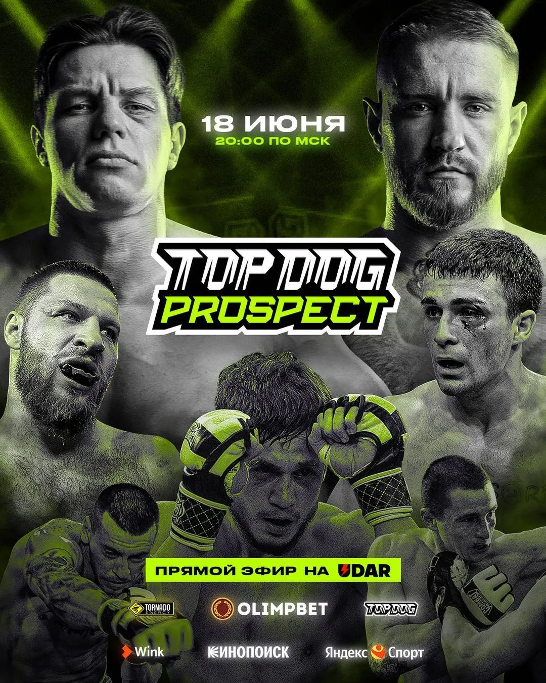 Top Dog Prospect 5