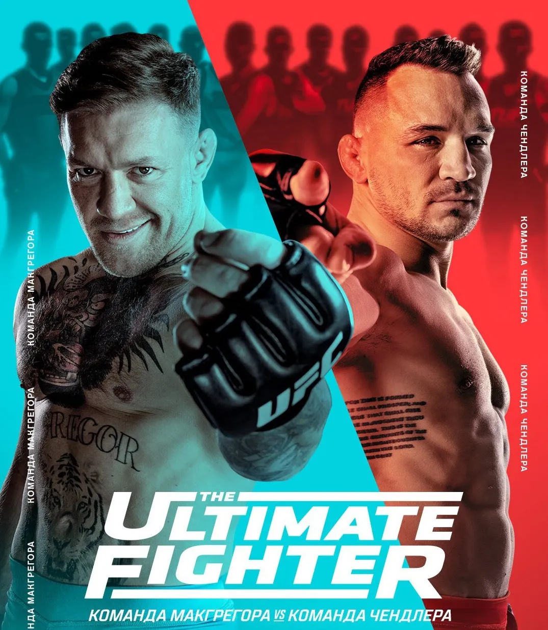 TUF 31