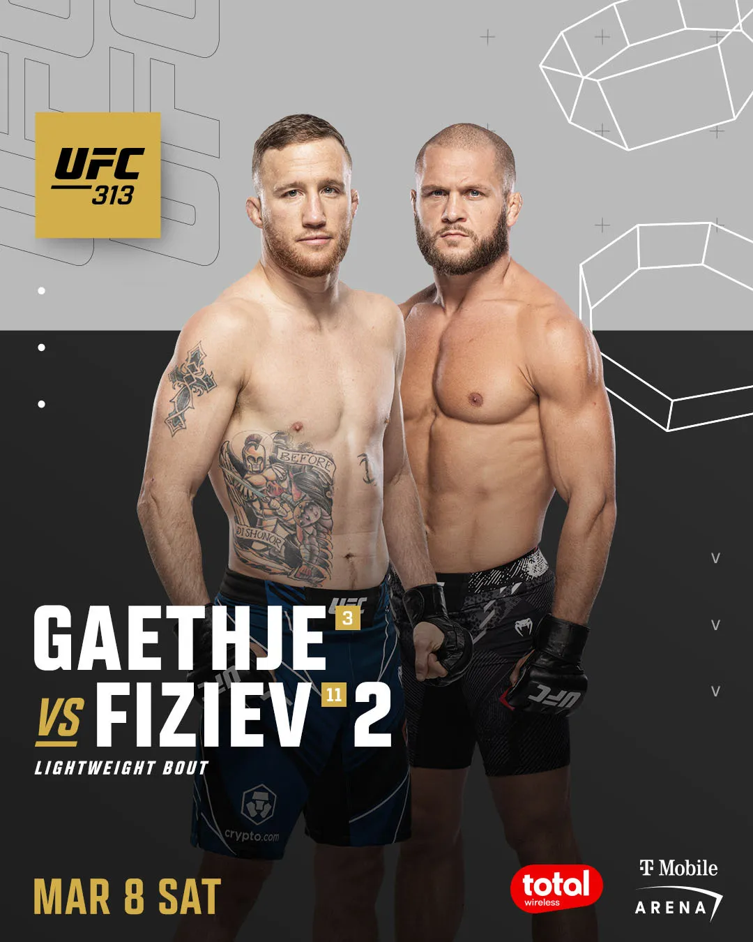 UFC 313