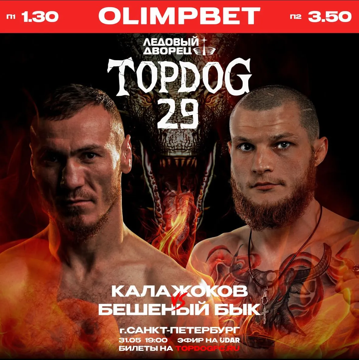 Афиша турнира Top Dog 29