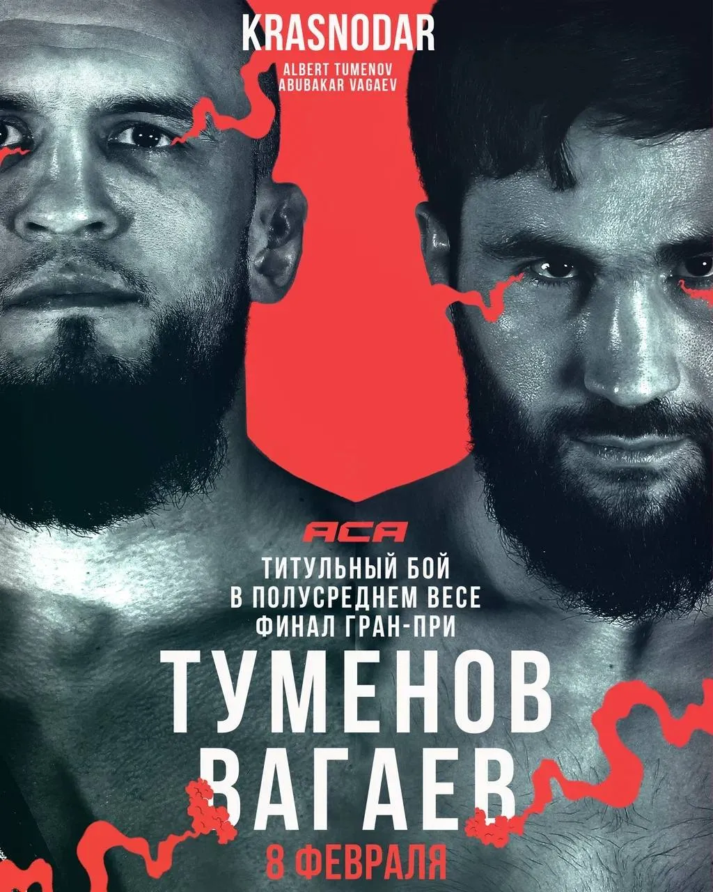 Официальный постер к турниру ACA 183