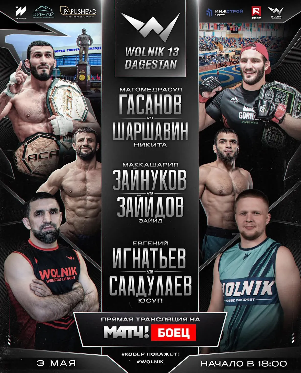 Постер турнира Wolnik 13