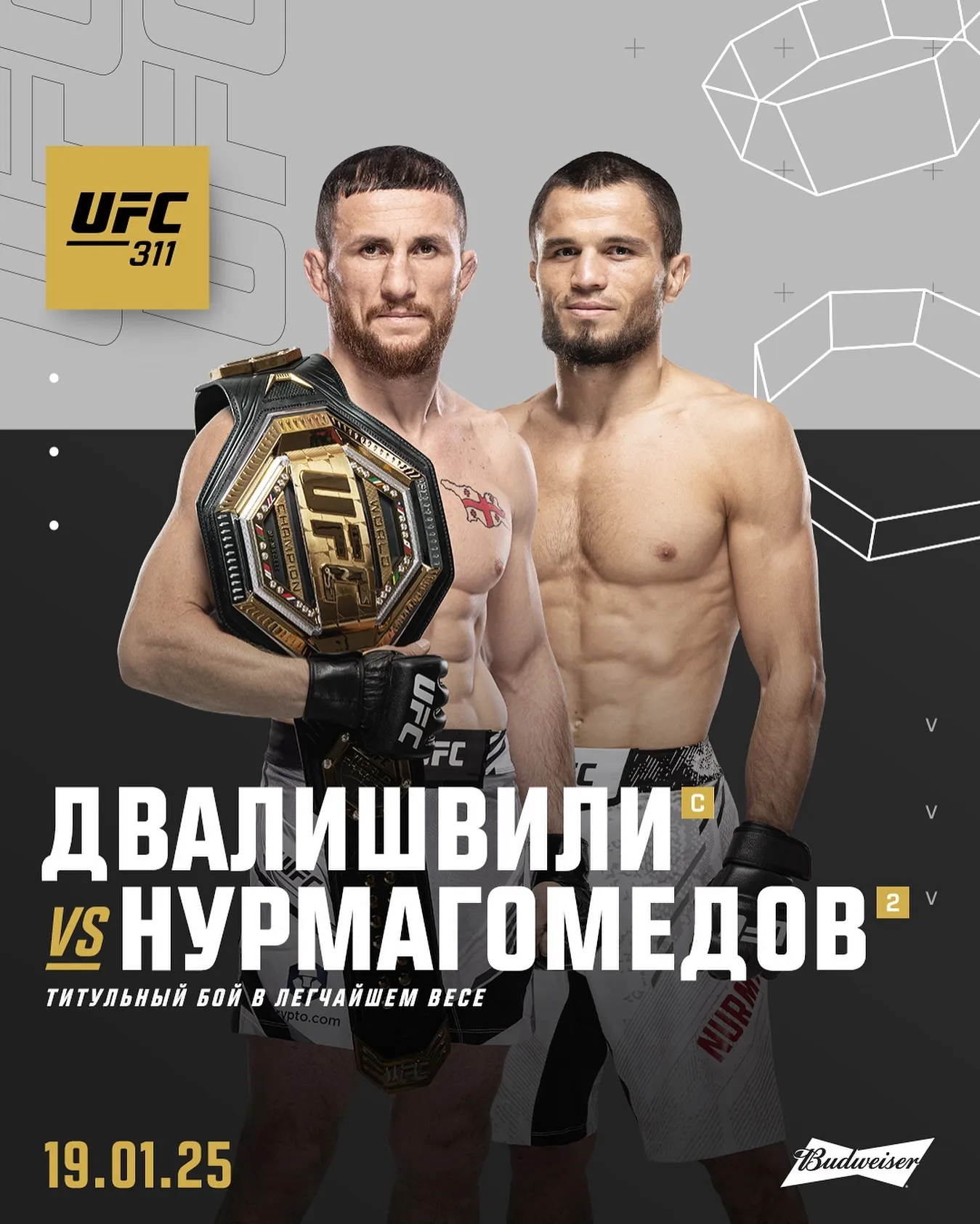 Поединок Двалишвили и Нурмагомедова состоится 19 января на UFC 311