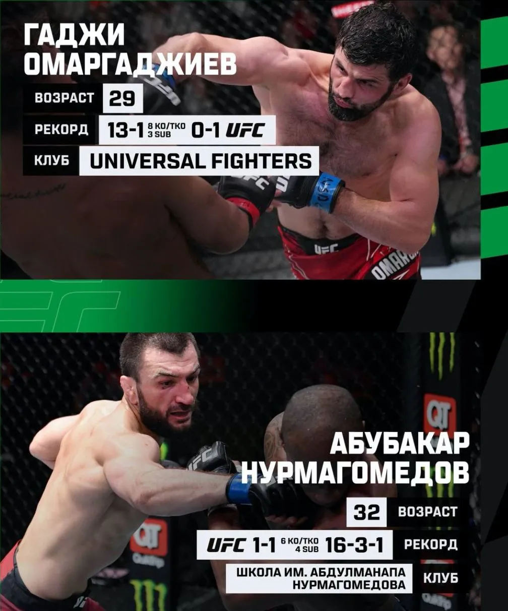 Статистика Омаргаджиева и Нурмагомедова