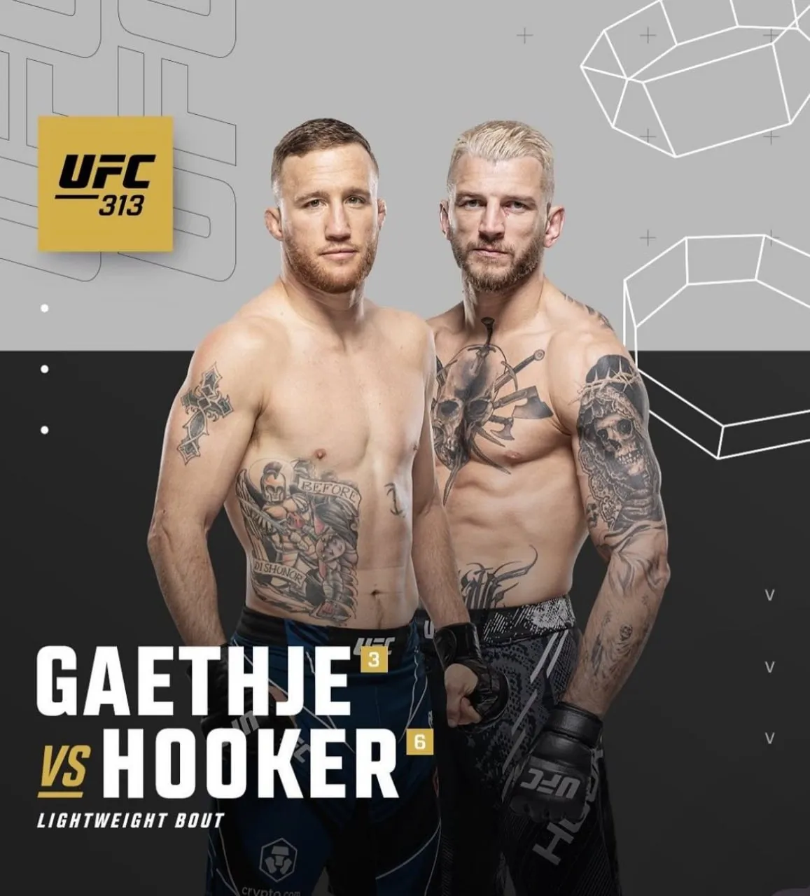 UFC 313