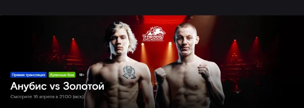 Где смотреть Top Dog 16 апреля