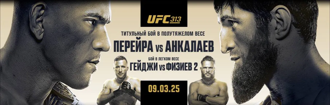Постер UFC 313