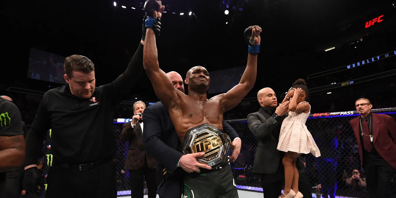Чемпион UFC