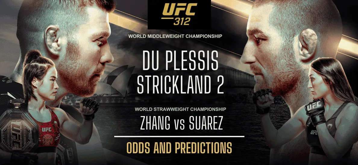 UFC 312