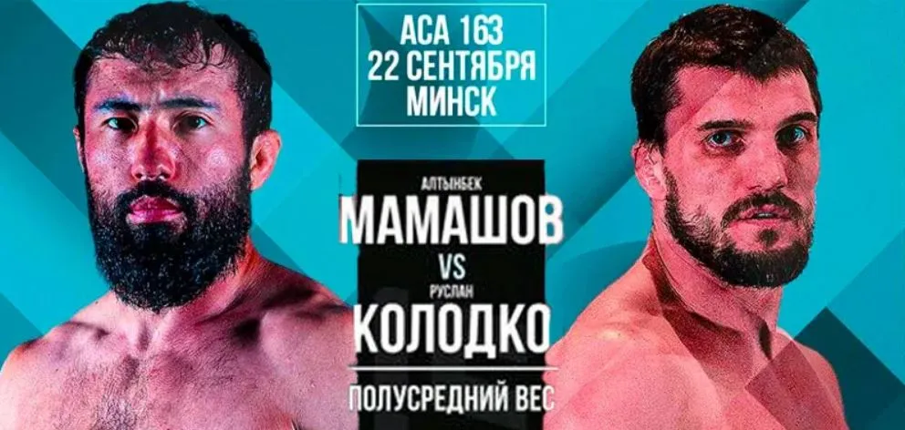 АСА 163