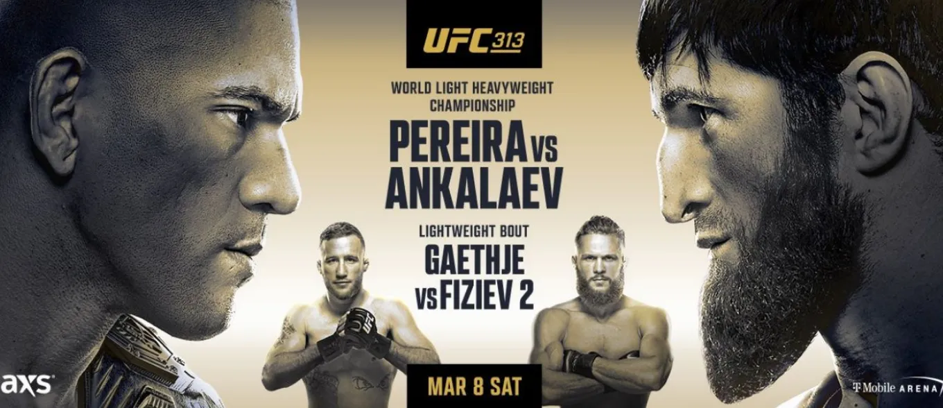 UFC 313