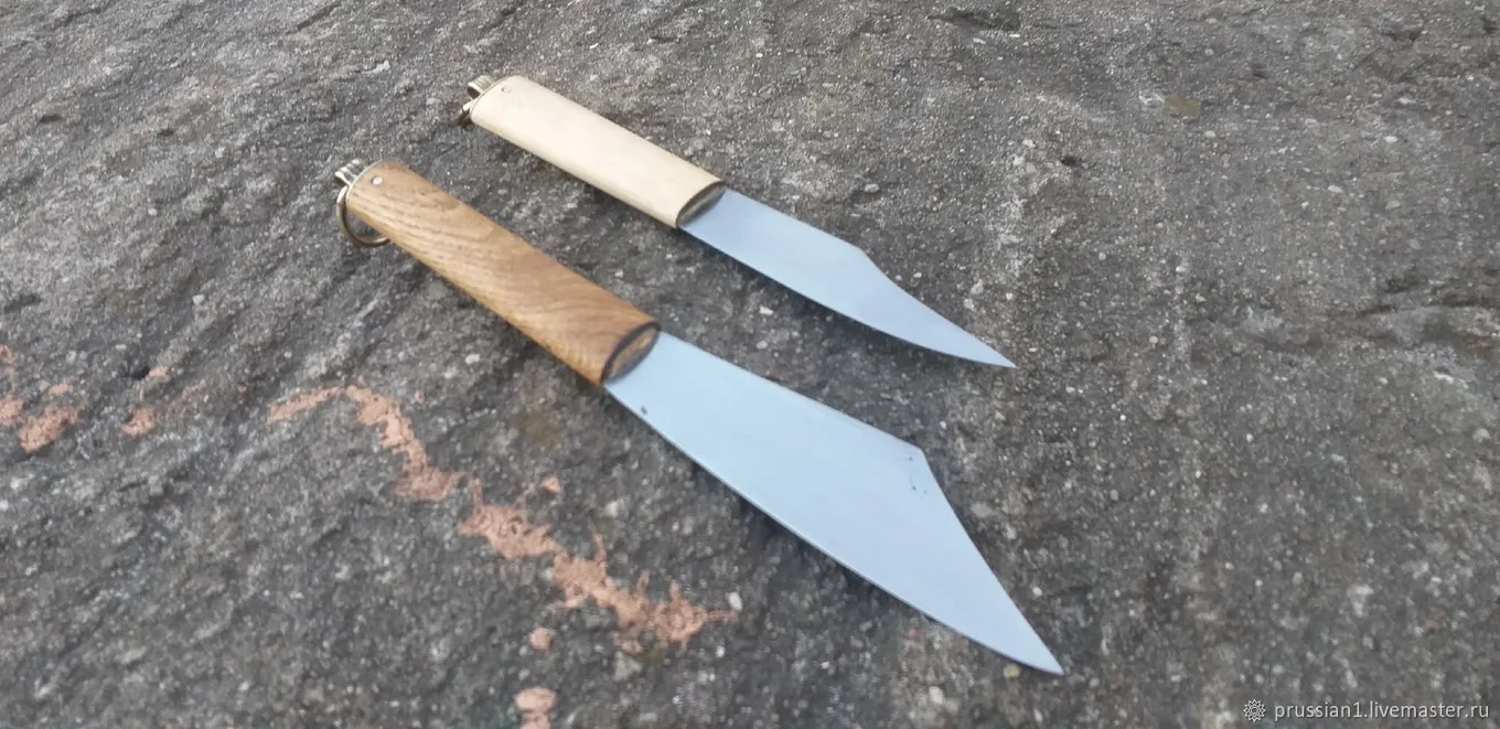 Сакс2