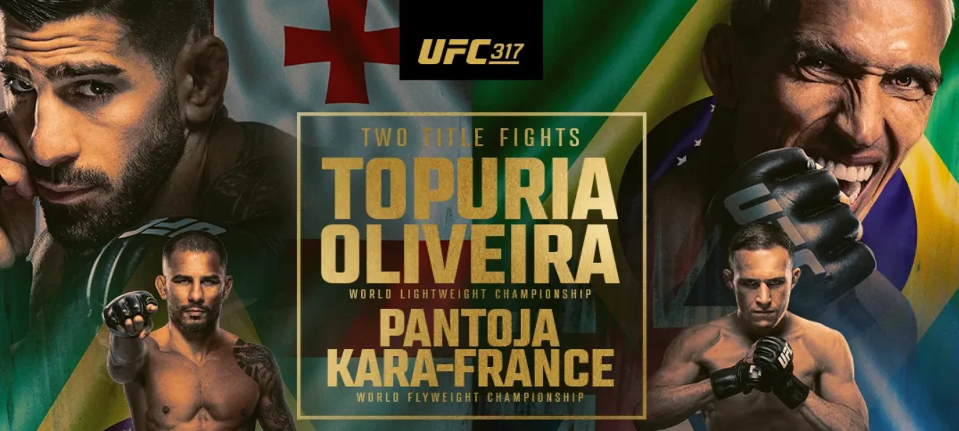UFC 317