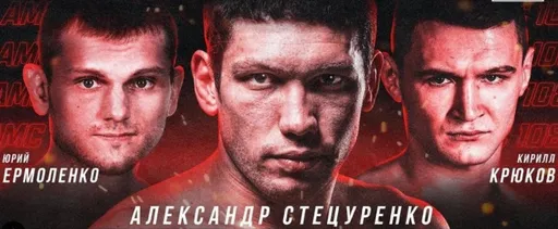 Александр Стецуренко нокаутировал Тимура Никулина на AMC Fight Nights 108