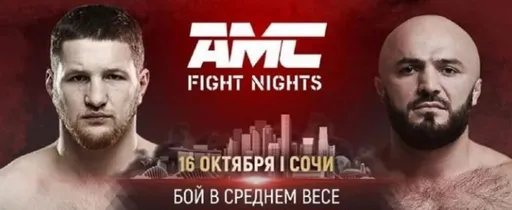 Денис Лебедев: буду болеть за Владимира Минеева