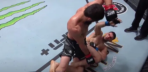 Василевский: у Махачева есть все шансы стать чемпионом UFC