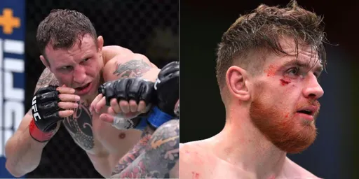 Бой Херманссон — Шахбазян добавлен в кард UFC 262