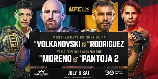 Три титульных боя в UFC, возвращение Шлеменко и главная битва года в боксе: лучшие поединки июля