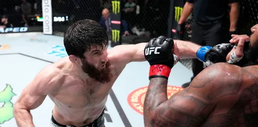 Анкалаев бросил вызов чемпиону UFC Адесанье