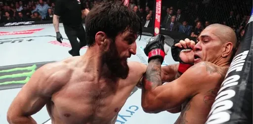 Стал известен возможный гонорар Анкалаева за победу над Перейрой на UFC 313