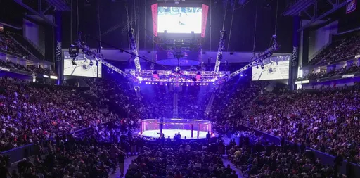 В Саудовской Аравии может пройти объединенный турнир WWE, UFC и бокса с участием Макгрегора и Пола