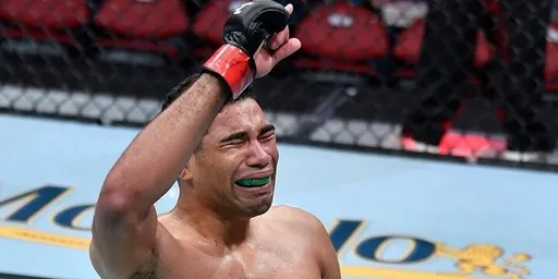 Брата Гилберта Бернса унесли из октагона на UFC on ABC 3