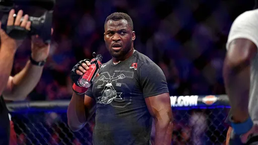 Нганну рассказал о конфликте с руководством UFC