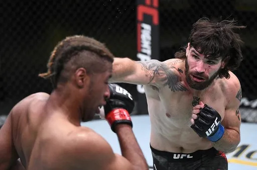 Семелсбергер и Уильямс могут встретиться в UFC 19 июня